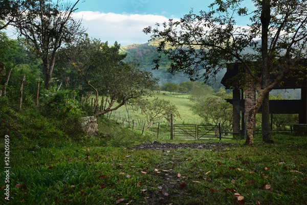 Fototapeta An open field on a farm in the Colombian Andes in the early morning