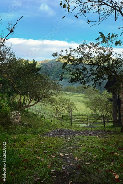 Fototapeta An open field on a farm in the Colombian Andes in the early morning