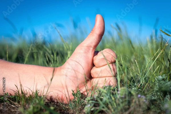 Fototapeta thumbs up