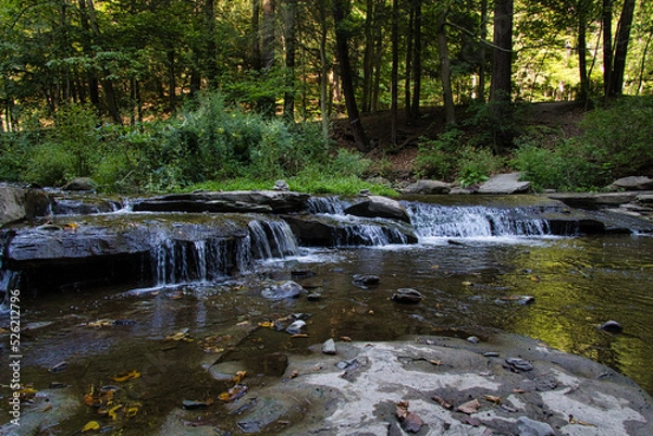 Fototapeta stream in the forest