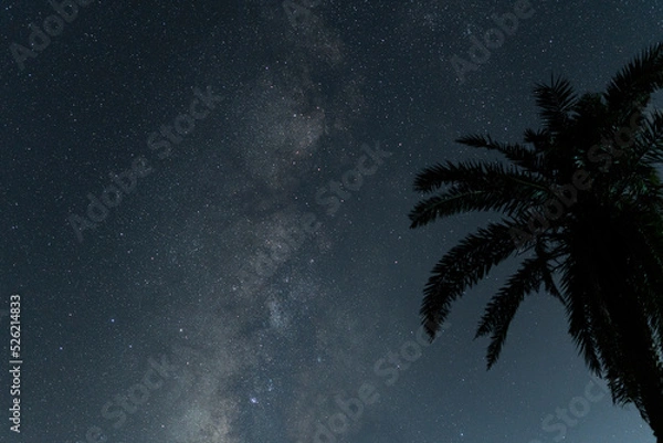 Obraz 天の川・ヤシの木・南国・宮古島星空・沖縄