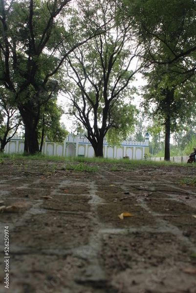 Obraz path in the park