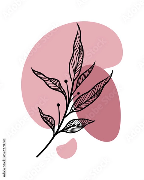 Fototapeta illustration vector art abstraction nature branch flowers background leaves