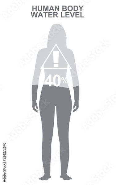 Fototapeta Human body water level. vector