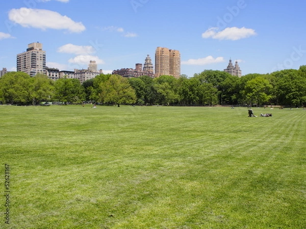 Fototapeta Central park