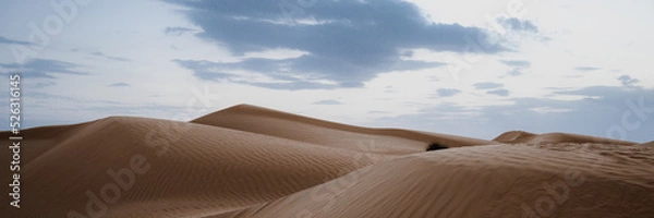 Obraz sand desert dunes