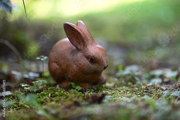 Obraz Tonhase im Garten