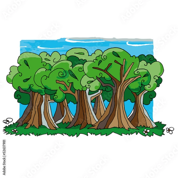 Obraz Forêt d'arbres