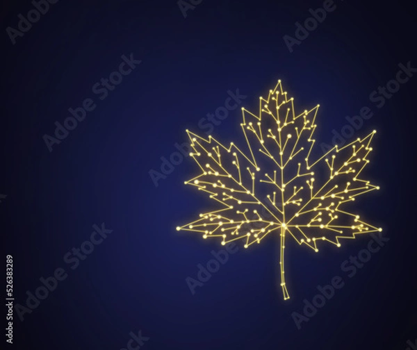 Fototapeta 2d golden neon maple leaf in chip shape on dark blue background. Autumn laconic, technological leaf on dark.