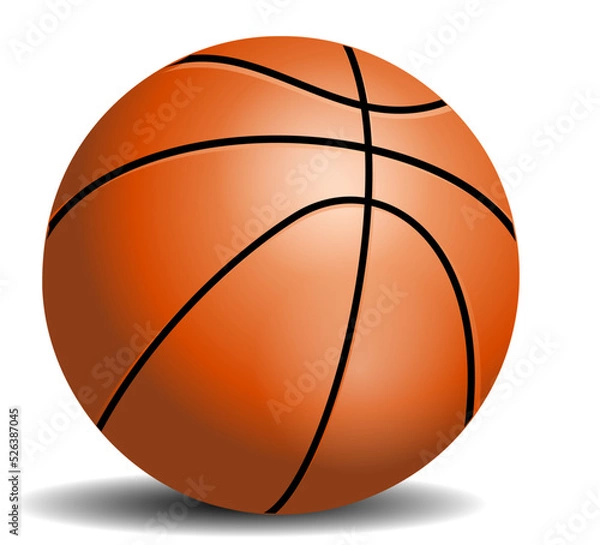 Obraz basketball ball vector
