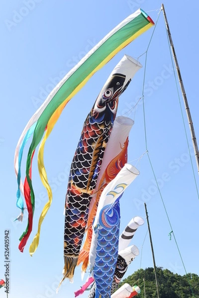 Fototapeta 鯉のぼり