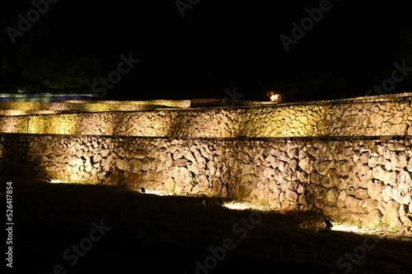 Obraz ライトアップ