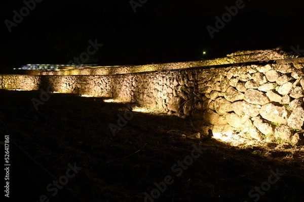 Obraz ライトアップ