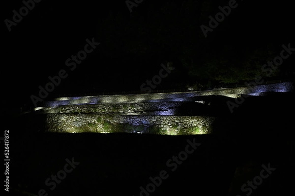 Obraz ライトアップ