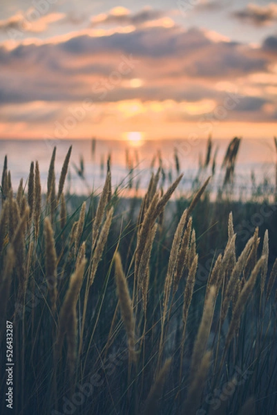 Obraz Evening at the danish coast at Blokhus. High quality photo