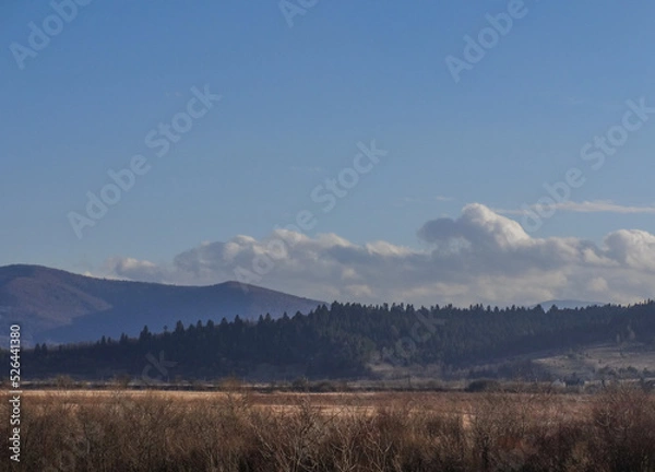 Fototapeta spring mountains