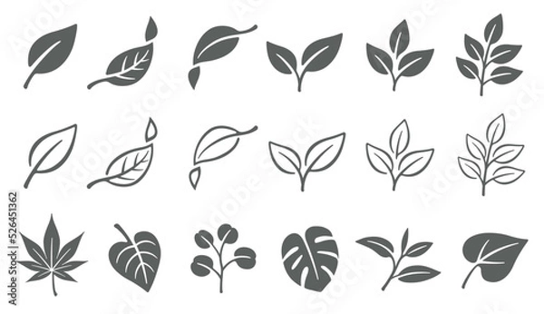 Fototapeta 葉っぱ　葉　アイコン　イラストセット