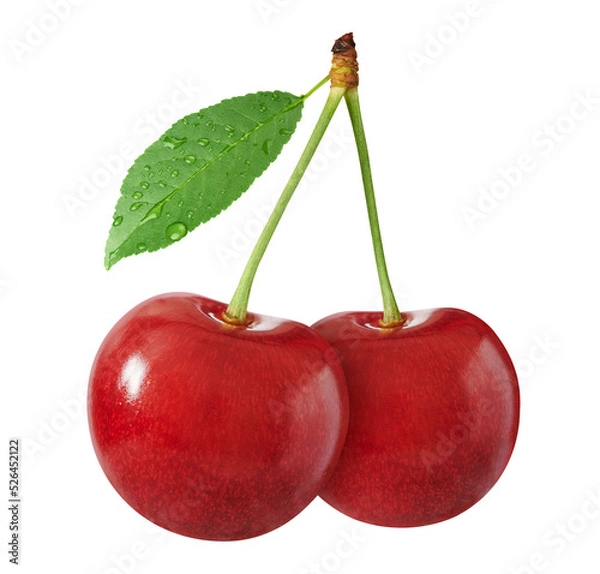 Fototapeta two fresh cherries with stem and leaf