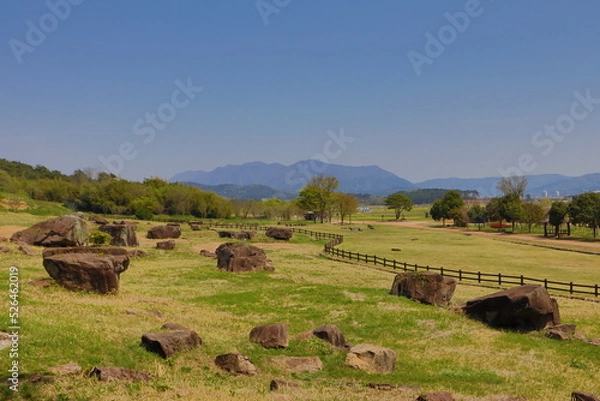 Fototapeta 고창 죽림리고인돌군(고창 고인돌공원)
