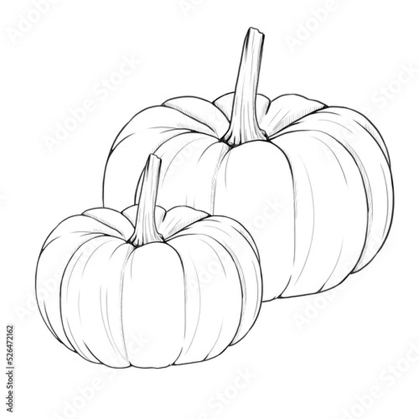 Obraz Citrouilles noir et blanc