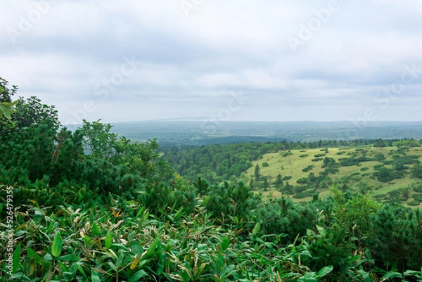 Fototapeta natural landscape of the southern Kuril Islands, view of the southern tip of Kunashir Island from the slope of Golovnin volcano