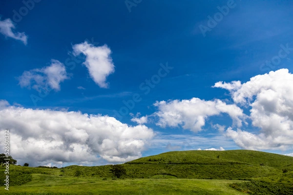 Fototapeta 秋吉台の景色