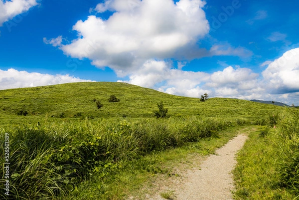 Fototapeta 秋吉台の砂利道