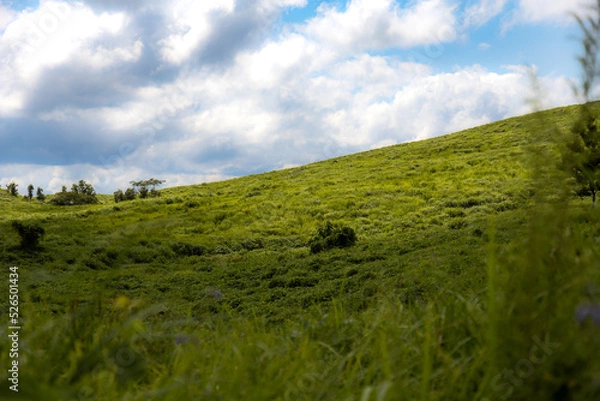 Fototapeta 秋吉台の景色
