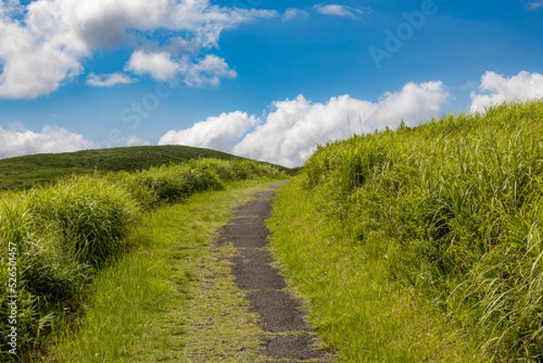 Fototapeta 秋吉台の砂利道