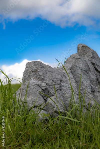 Fototapeta 秋吉台