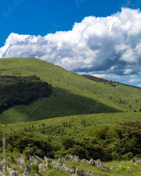 Fototapeta 秋吉台の景色