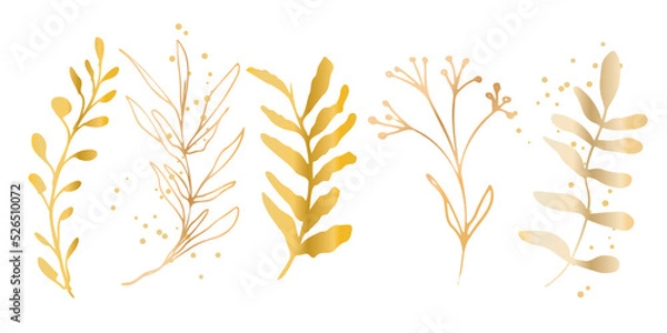 Fototapeta Hand drawn colorful plant set modern and universally usable. Flower branch and minimalistic plants. Hand drawn lines, elegant leaves for your own design. Botanical, chic and trendy plants.
