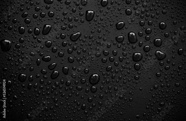 Fototapeta abstract water drops on a white background.Background, beautiful, and can be used in many applications.