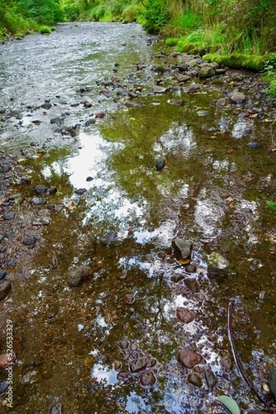 Obraz 渓流の岩場　水面に映る森