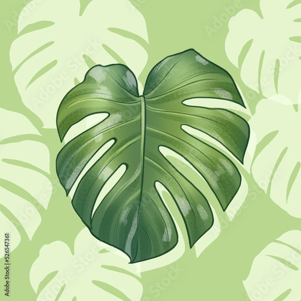 Obraz Monstera 