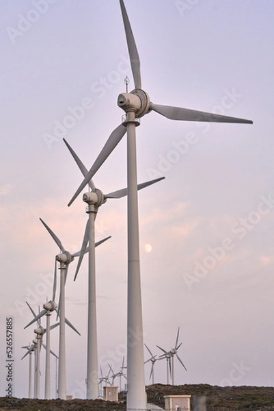 Obraz Row wind turbines by the Aegean Sea Canakkale, Bozcaada in Turkey