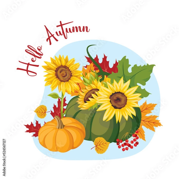 Obraz Hello autumn card. Design template with orange, white and green pumpkins, sunflowers and poppy flower on beige background.. Vector Halloween illustration. Autumn harvest background. Fall season.
