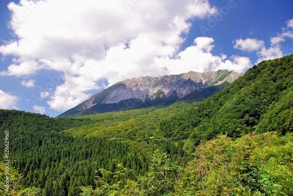 Fototapeta 鍵掛峠から望む「大山」の夏景色