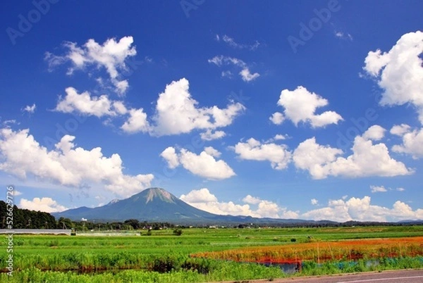 Fototapeta 鳥取県 伯耆富士「大山」と夏空