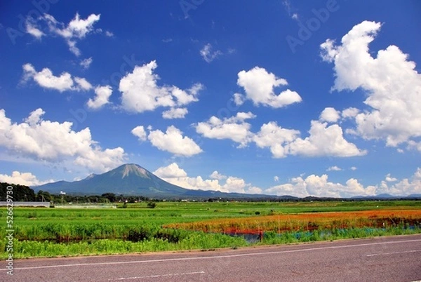Fototapeta 鳥取県 伯耆富士「大山」と夏空