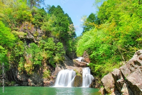 Fototapeta 広島県三段峡 新緑の三ツ滝