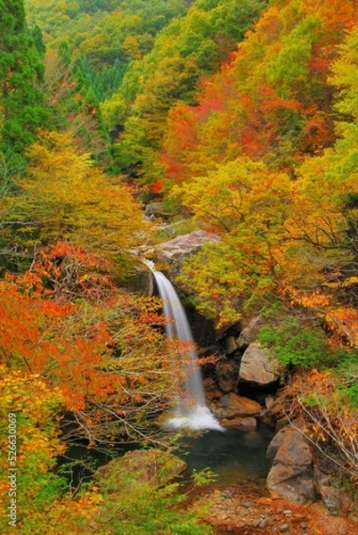 Fototapeta 広島県三段峡 魚切滝の紅葉