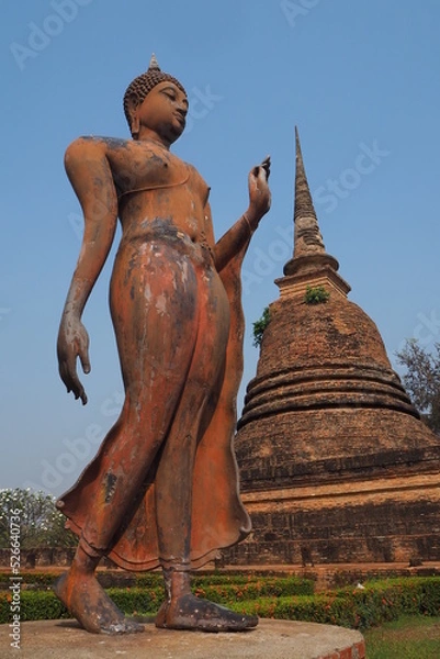 Fototapeta Standing Buddha