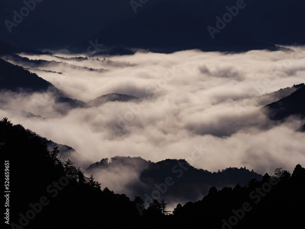 Fototapeta 三重県　相津峠から見える朝の雲海風景