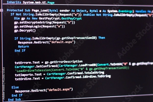 Obraz Computer program coding on screen