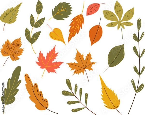 Fototapeta set of leaves, in doodle style, vector