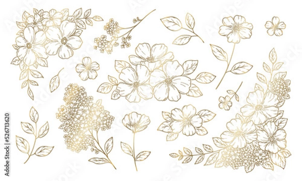 Obraz 花の装飾イラスト, フレームと飾り, 植物の手描き挿絵, ゴールドの線画.