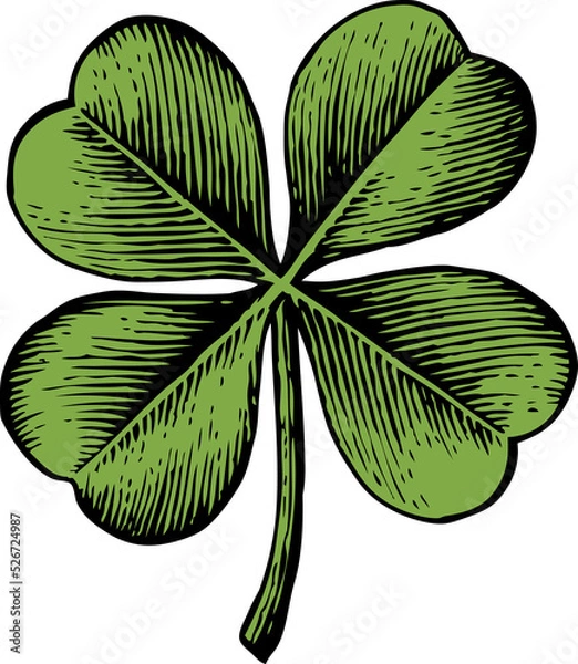 Obraz clover with four leaf - vintage engraved png illustration (hand drawn style).