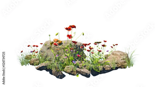 Obraz Small garden consists of stone bush and flowers with isolated background