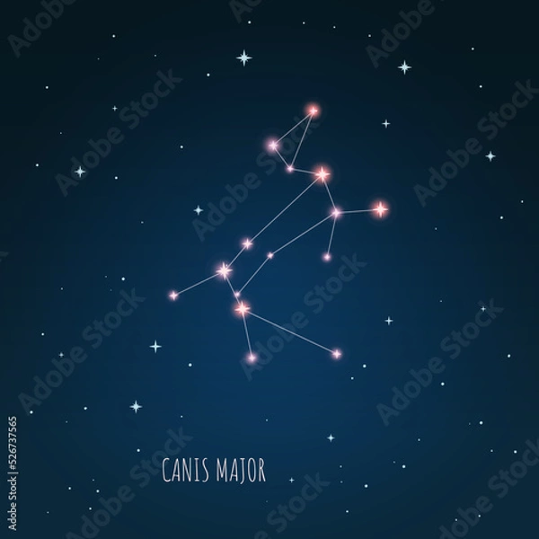 Fototapeta The constellation "Canis Major" star
in the night sky. Astronomical Big
dog. Cluster of realistic stars. Constellation scheme collection
